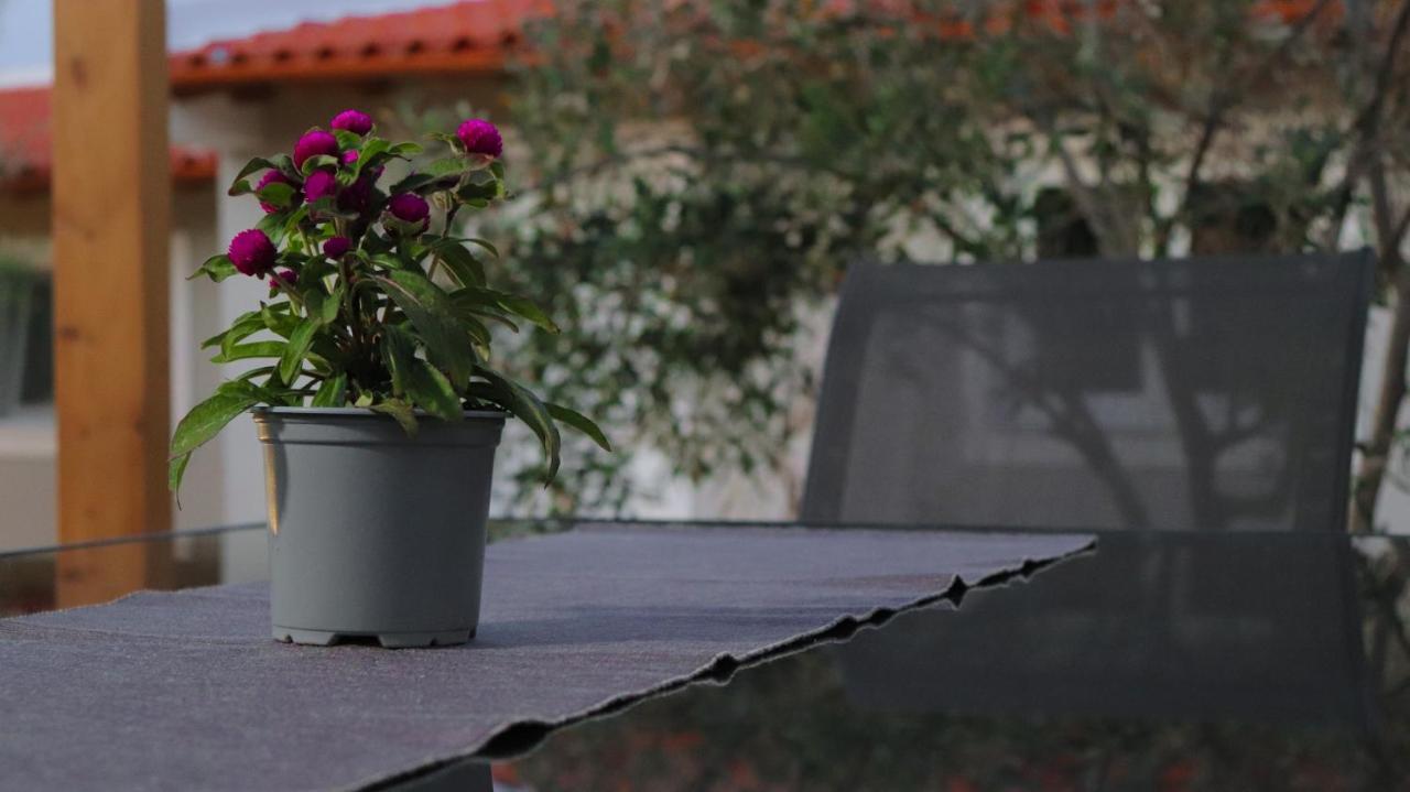 Spitakia-Cozy & Comfy Apartments 10Minutes From The Airport Artemi Extérieur photo