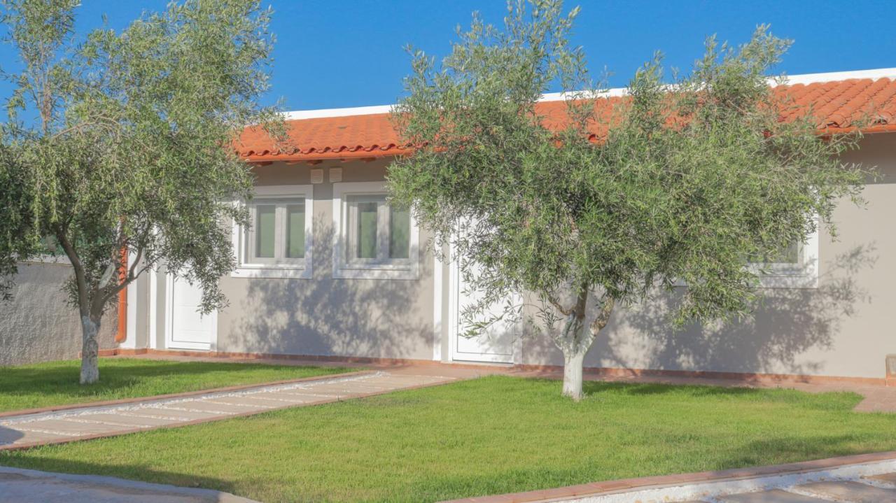 Spitakia-Cozy & Comfy Apartments 10Minutes From The Airport Artemi Extérieur photo