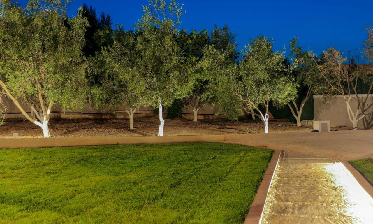 Spitakia-Cozy & Comfy Apartments 10Minutes From The Airport Artemi Extérieur photo